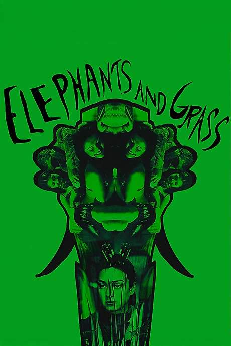 Elephants and Grass